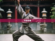 少林六合彩拳，一套全面的健身与武术教程