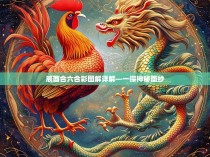 辰酉合六合彩图解详解—一探神秘面纱