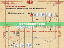 地支六合彩的使用方法图解