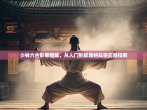 少林六合彩拳图解,从入门到精通的科学实践指南
