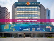 南京六合彩区统计局的层级定位与统计工作成效