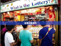 六合一式揭秘，揭示彩票中的秘密