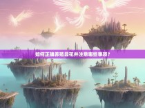 如何正确养殖昙花并注意哪些事项？