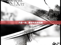 六合一剑，解读与实战指南