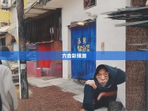 揭秘539六合彩的神秘规律，科学分析与实战技巧