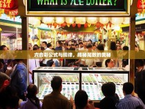 六合彩公式与规律，揭秘尾数的奥秘