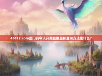 45612.com澳门码今天开奖结果最新查询方法是什么？