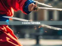 六合彩双刀动作图解