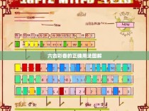 六合彩香的正确使用方法图解，一种入门指南