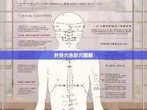针灸六合彩穴图解