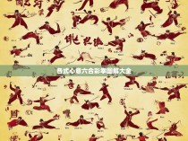各式心意六合彩拳图解大全