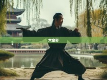 六合彩八卦拳图解，古老的智慧与现代的融合