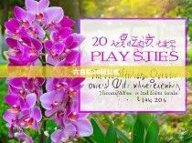 六合一十码中特，揭秘20码投注技巧与公式解析