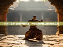 少林六合彩门黑虎拳图解全，一场探寻神秘力量的修炼之路