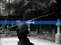 少林六合彩枪法图解