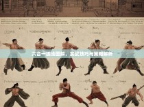 六合一练法图解，实战技巧与策略解析