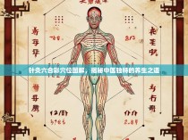 针灸六合彩穴位图解,揭秘中医独特的养生之道