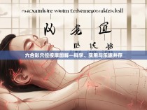 六合彩穴位按摩图解—科学、实用与乐趣并存