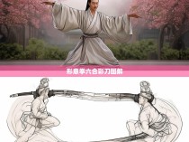 形意拳六合彩刀图解