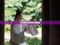 心意拳六合彩肘法图解