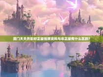 澳门天天开彩好正版挂牌资料与非正版有什么区别？