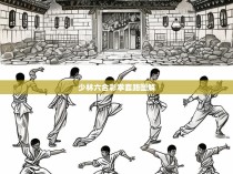 少林六合彩拳套路图解