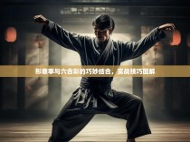 形意拳与六合彩的巧妙结合，实战技巧图解