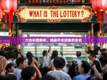 六合彩图解析，揭秘开奖结果的玄机