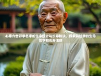 心意六合彩拳名家的生命统计与长寿秘诀，探索其独特的生命哲学和长寿法则