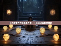 十二地支六合彩规律合克，一种神秘的数学游戏