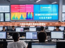 六合彩区统计局综合调查队