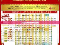 六合彩规律详解图解