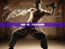 枪拳一体，六合彩拳图解