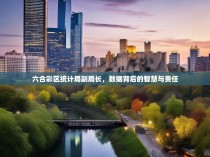 六合彩区统计局副局长，数据背后的智慧与责任