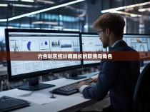 六合彩区统计局局长的职责与角色