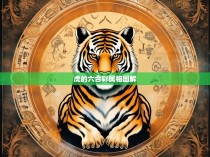 虎的六合彩属相图解，占卜之道与智慧解析