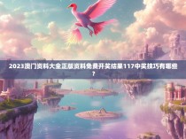 2023澳门资料大全正版资料免费开奖结果117中奖技巧有哪些？