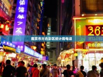 南京市六合彩区统计局电话