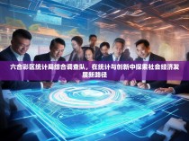六合彩区统计局综合调查队,在统计与创新中探索社会经济发展新路径