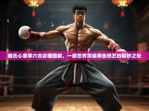 戴氏心意拳六合彩捶图解，一窥世界顶级拳击技艺的精妙之处