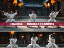 少林六合彩拳，一套融合武术与娱乐的特色功夫