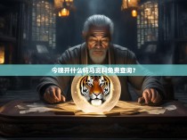 今晚开什么特马资料免费查询?