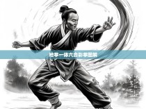 枪拳一体六合彩拳图解
