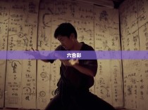 心意六合彩拳实战图解