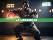 心意六合彩拳实战拳法图解