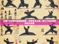 心意六合彩拳完整套路图解，探索武术之魂—用心六合彩拳的修炼与实践