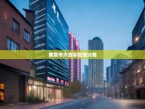 南京市六合彩区统计局，一个数字背后的经济发展与社会变迁