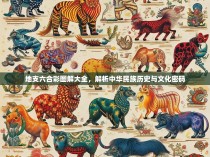 地支六合彩图解大全，解析中华民族历史与文化密码