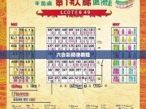 六合彩规律教程，破解六合彩的神秘面纱
