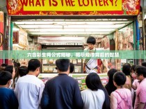 六合彩生肖公式揭秘，揭示规律背后的智慧